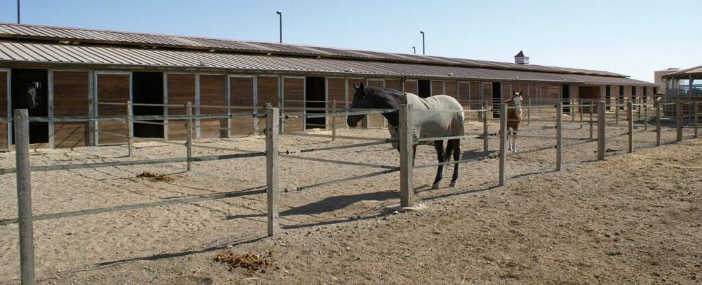 Small Paddock HorseGuard Fencing Possibilities | HorseGuard.us